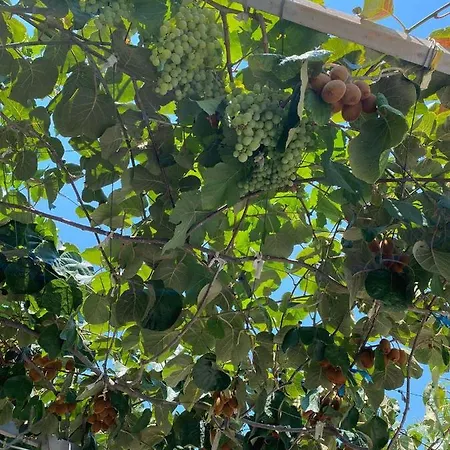 Lirim Shenmiter شقة Lukovë