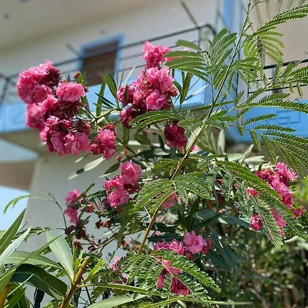 Lirim Shenmiter شقة Lukovë