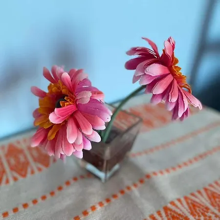 Lirim Shenmiter شقة