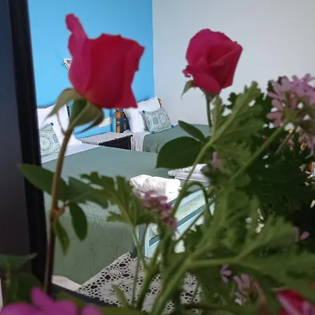 Lirim Shenmiter Appartement